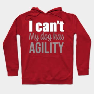 I can't, my dog has agility in English Hoodie